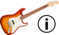 How to buy electric Guitar