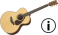 How to buy Acoustic guitar